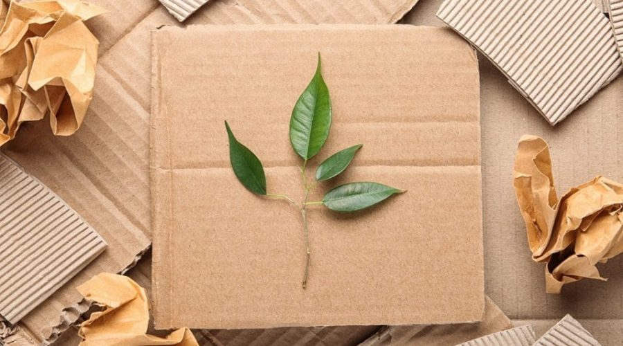 PayU and Prosus Unveil Report to Transform Sustainable Packaging in India